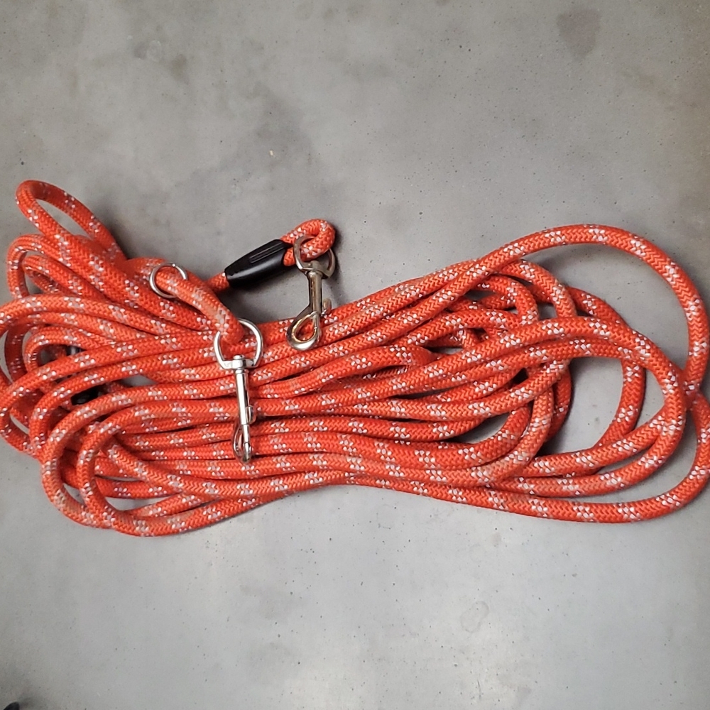 30 foot orange dog lead